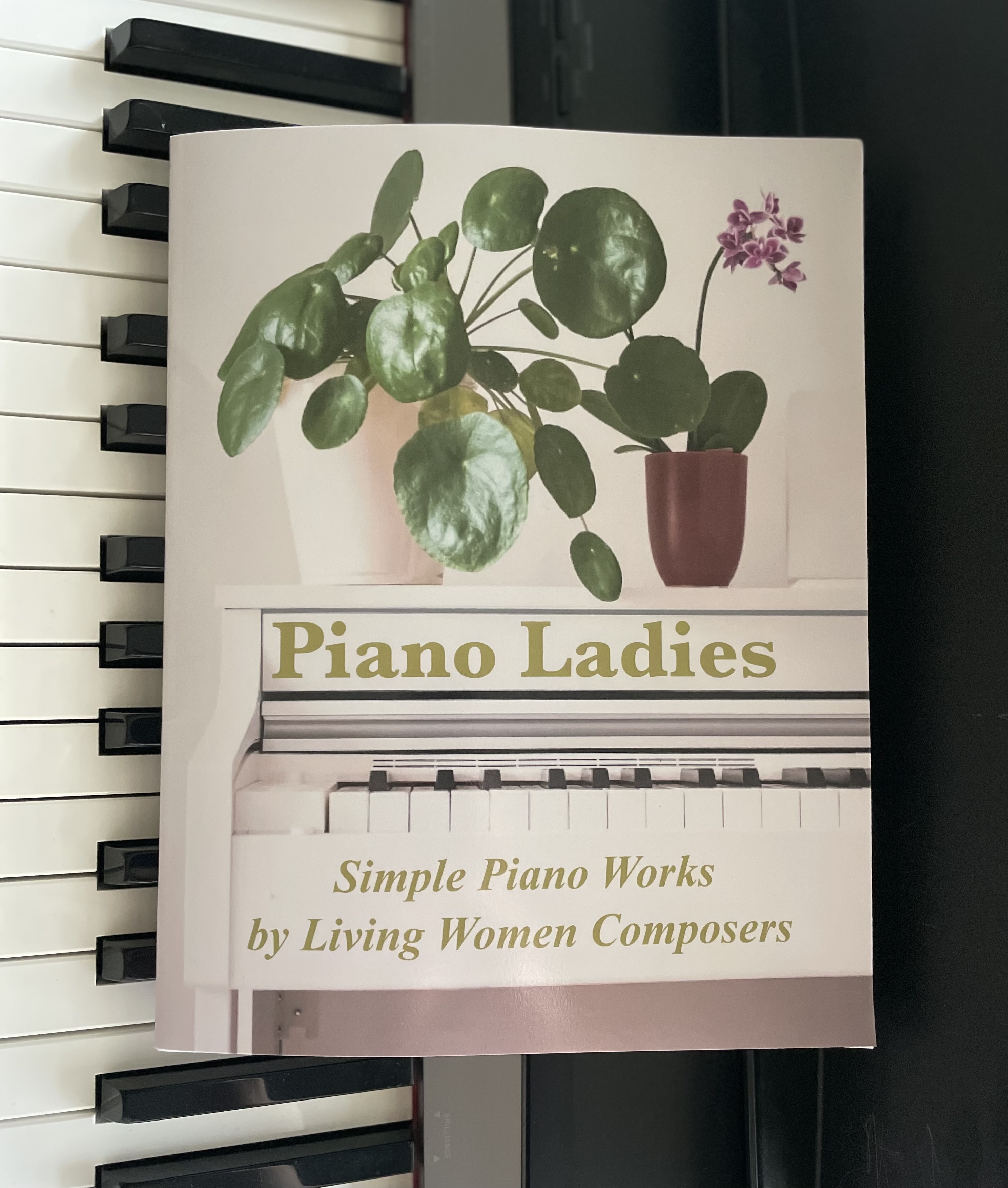 piano ladies paperback